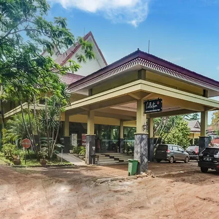 Collection O 91071 Hotel Desa Wisata Tmii-3